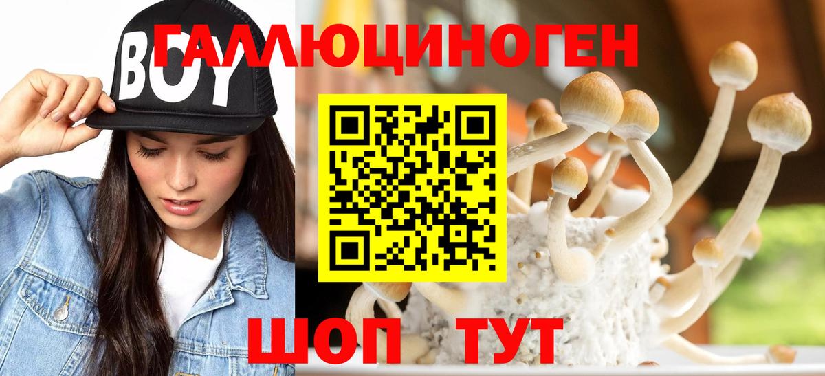 наркошоп  Вход с VPN  Касимов  Галлюциногенные грибы Magic Shrooms 